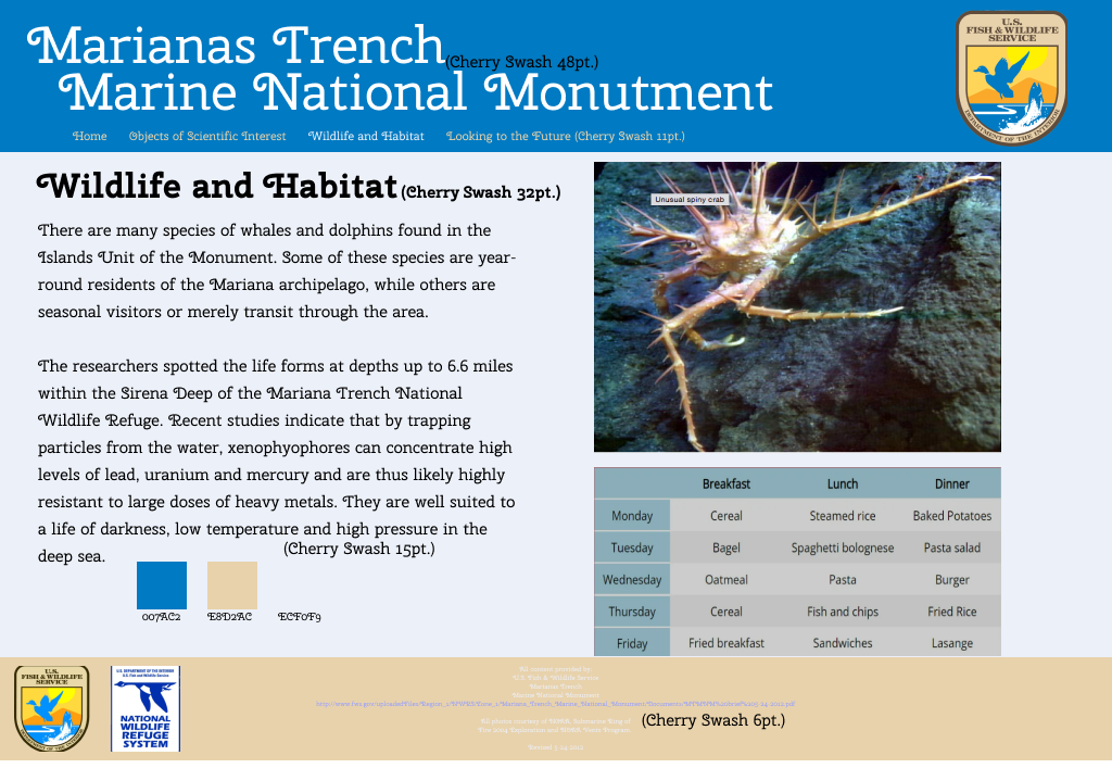 my first style tile for project 2